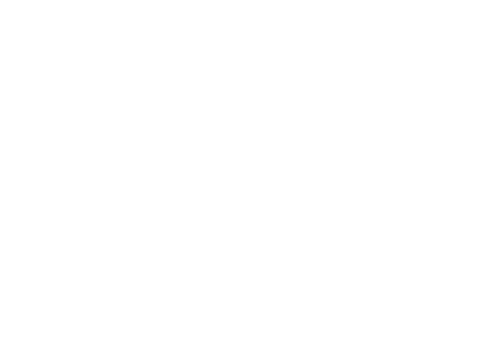 c-03